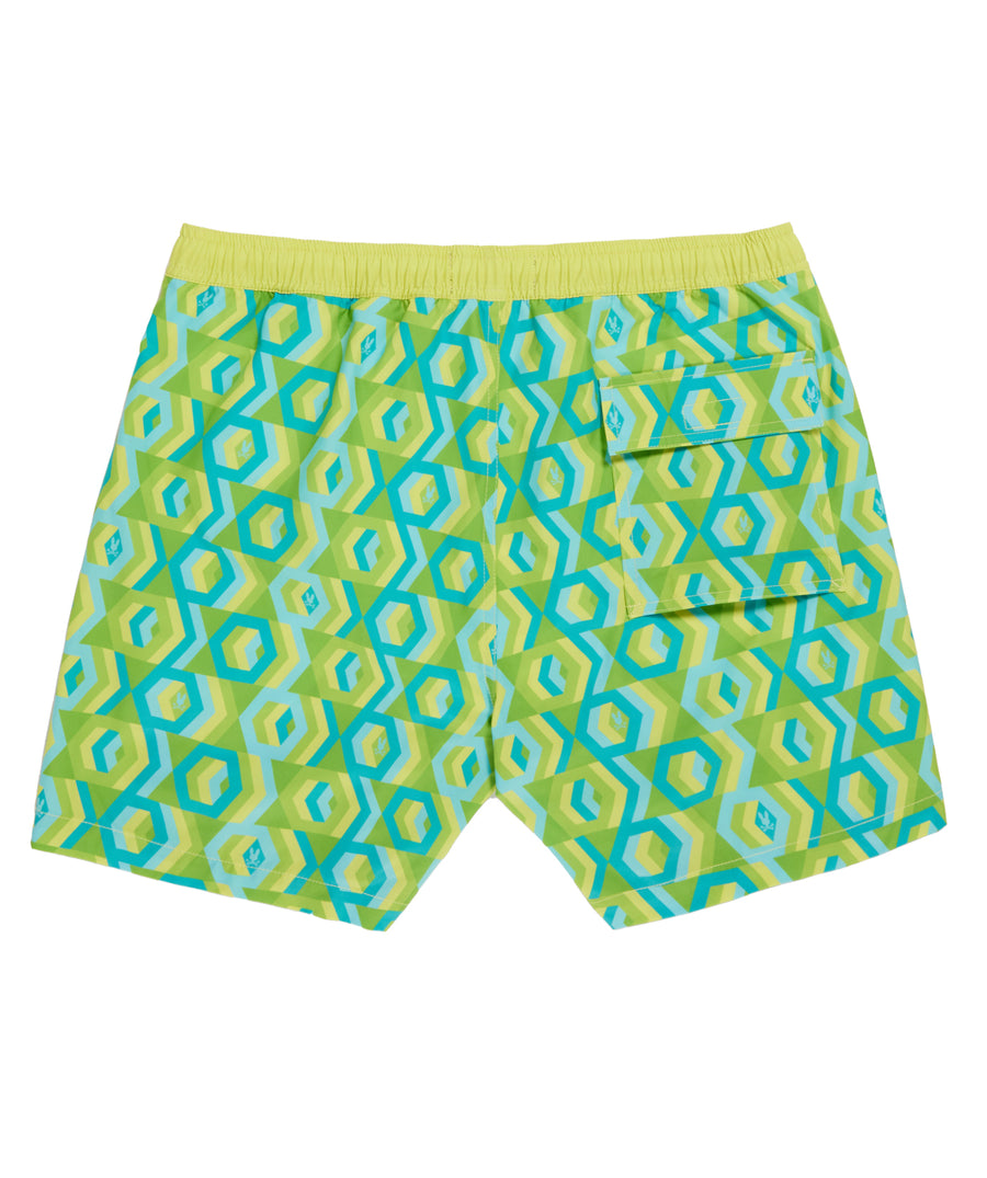 PSYCHO BUNNY Apple Valley Printed Swim Shorts B6W631A2PO