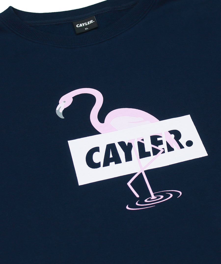 CAYLER & SONS CSWL Camingo Crewneck WL-SS19-AP-19