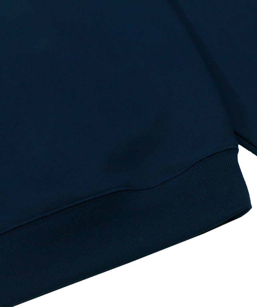 CAYLER & SONS CSWL Camingo Crewneck WL-SS19-AP-19