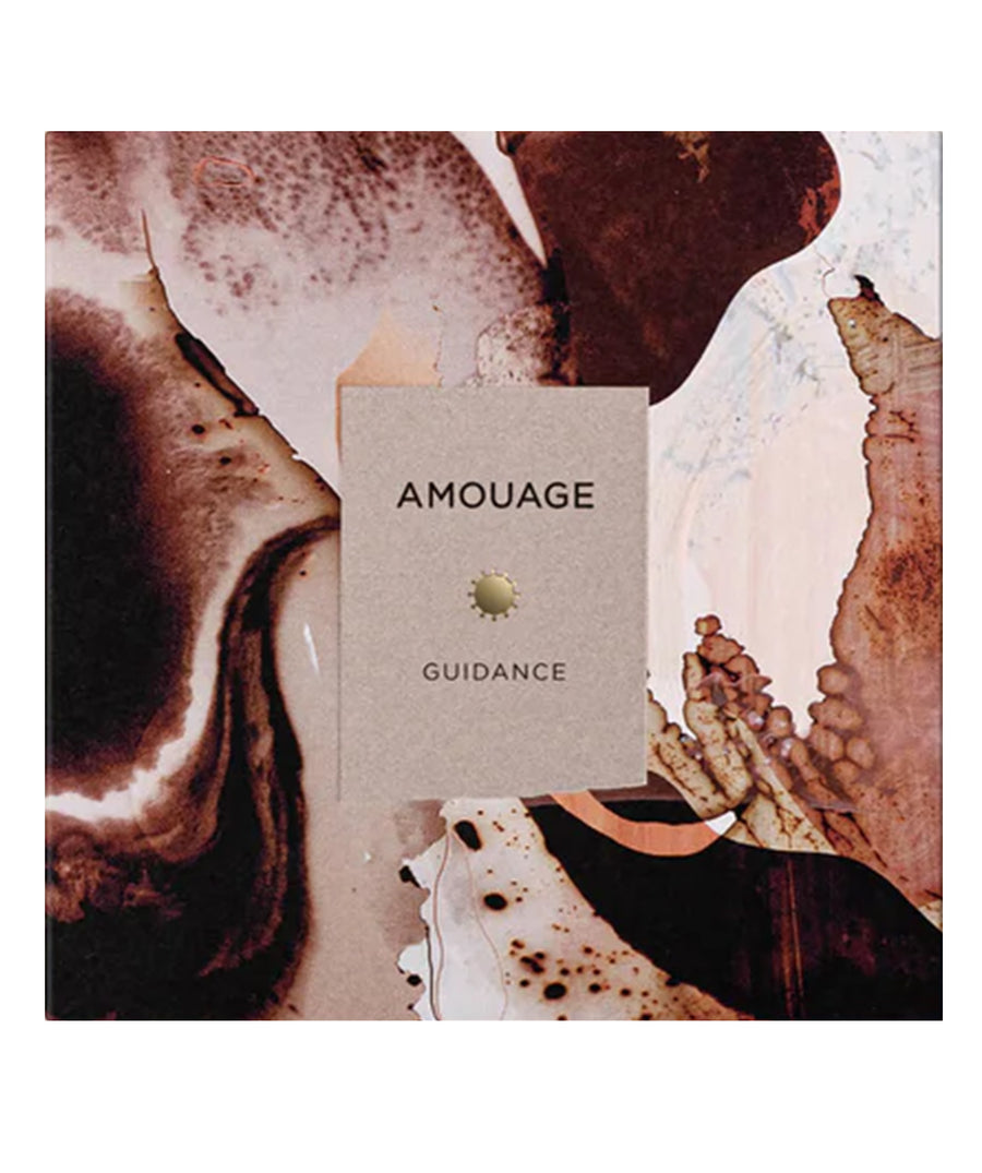 Guidance EDP
