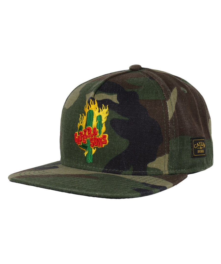 CAYLER & SONS  Turn Up Cap WL-SS18-09