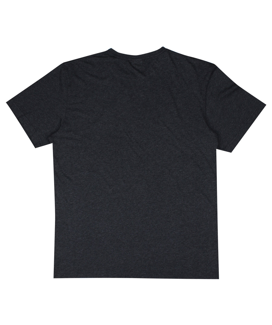 CAYLER & SONS  Premium Authentics Icon Tee PA-AW18-AP-10