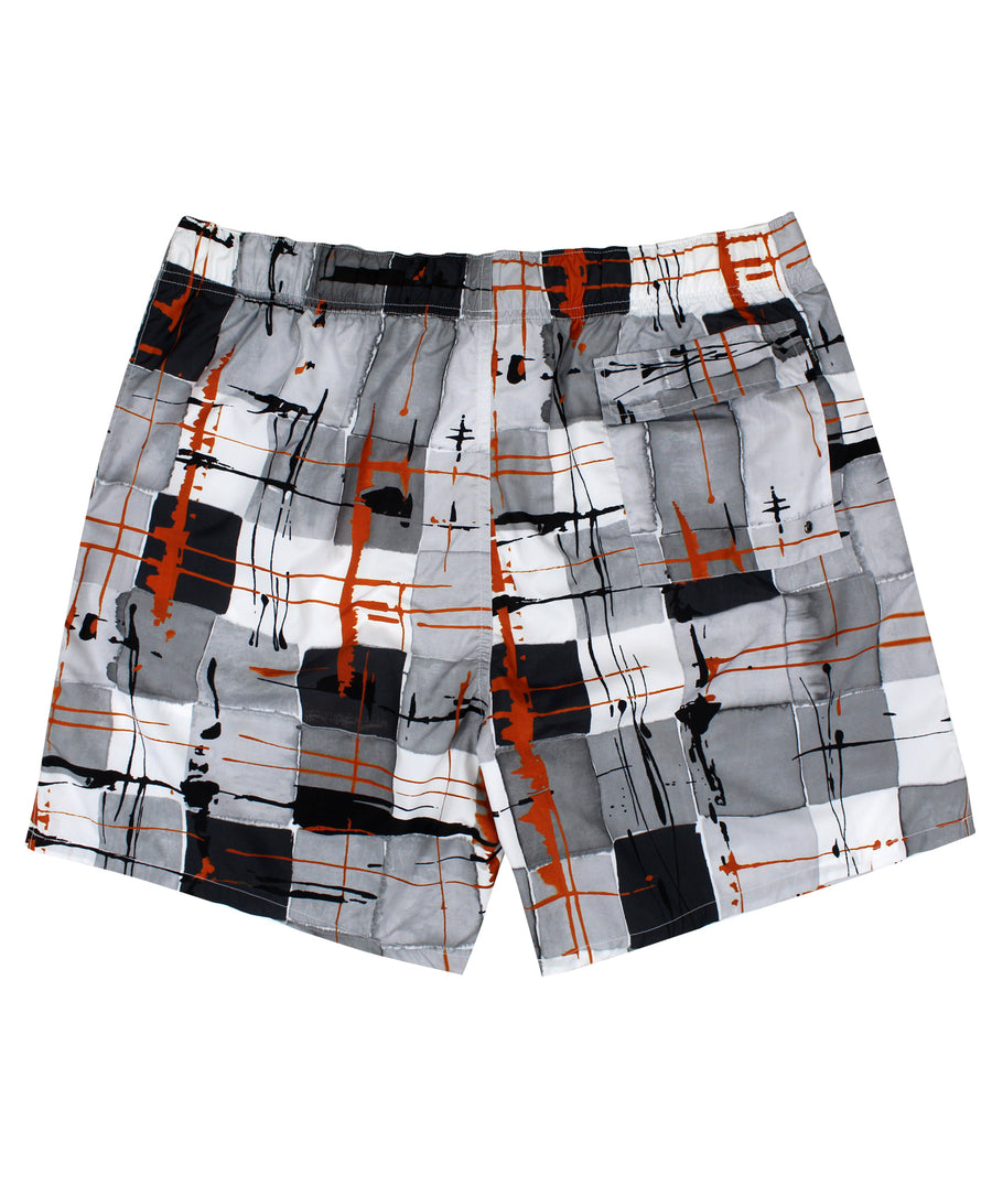 ZEGNA  Swim Shorts SE665-ZS481